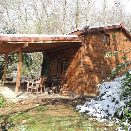Cabane Dans Les Bois Avec Vue Sur Les Pyrenees Saint-Laurent-de-Neste Εξωτερικό φωτογραφία
