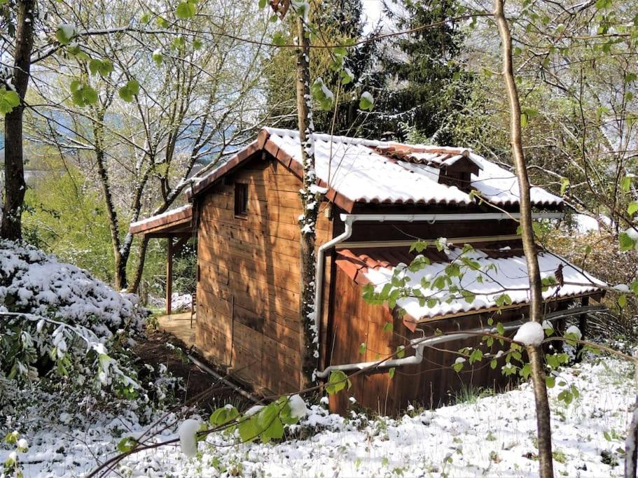 Cabane Dans Les Bois Avec Vue Sur Les Pyrenees Saint-Laurent-de-Neste Εξωτερικό φωτογραφία