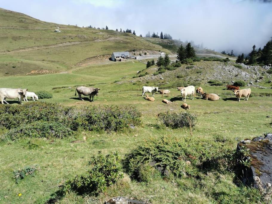 Cabane Dans Les Bois Avec Vue Sur Les Pyrenees Saint-Laurent-de-Neste Εξωτερικό φωτογραφία